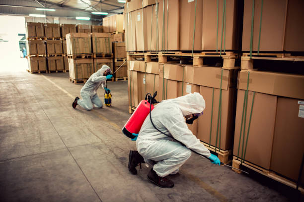 Best Ant Control Services  in Keyport, NJ