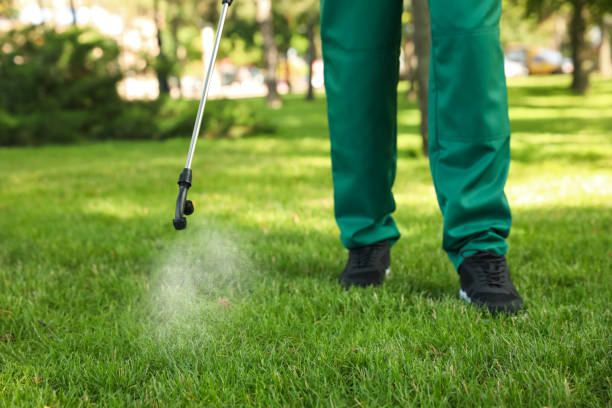 Best Exterminator Services  in Keyport, NJ