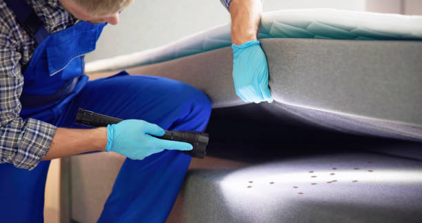 Best Pest Inspection Near Me  in Keyport, NJ