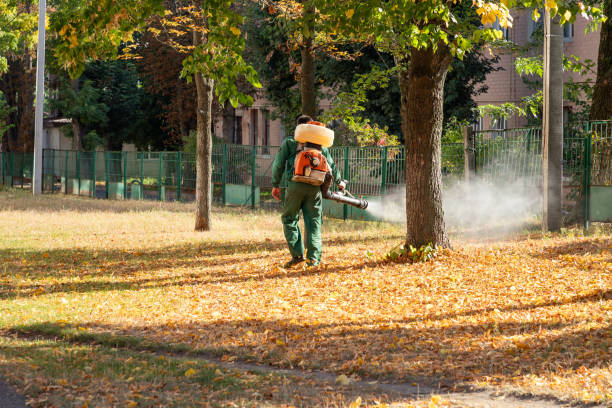 Pest Control for Restaurants in Keyport, NJ