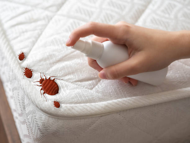 Best Bed Bug Extermination  in Keyport, NJ