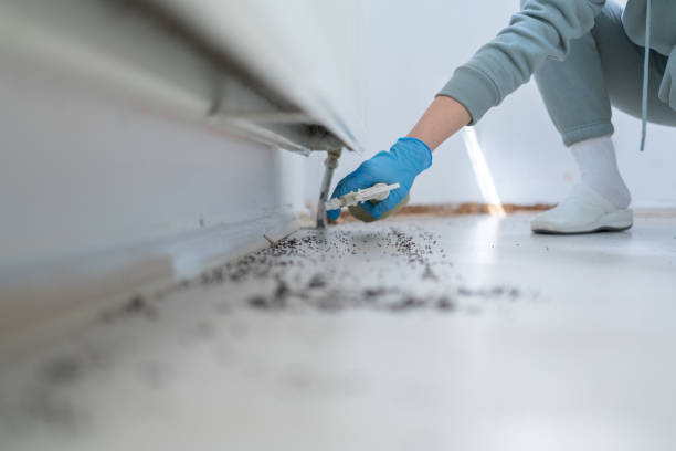 Best Pest Control for Homes  in Keyport, NJ