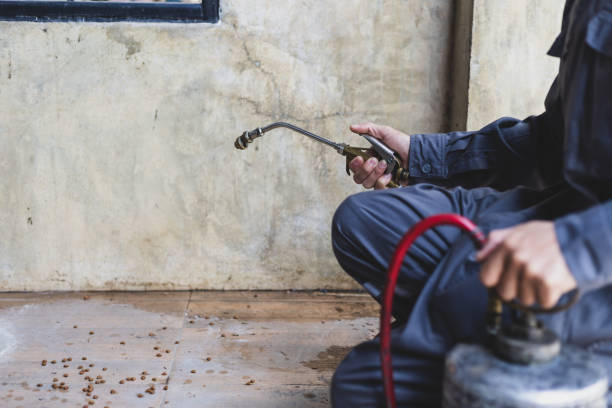 Best Pest Prevention Services  in Keyport, NJ